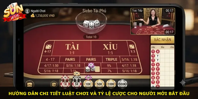 Hướng dẫn chi tiết luật chơi và tỷ lệ cược cho người mới bắt đầu