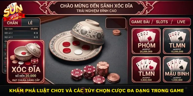 Khám phá luật chơi và các tùy chọn cược đa dạng trong game