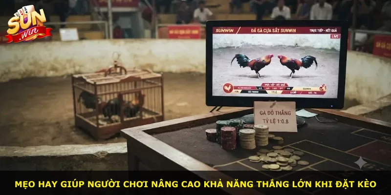 Mẹo hay giúp người chơi nâng cao khả năng thắng lớn khi đặt kèo