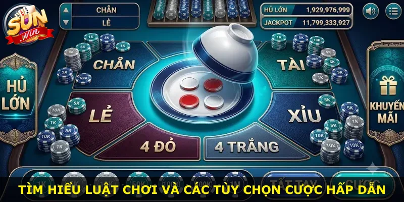 Tìm hiểu luật chơi và các tùy chọn cược hấp dẫn